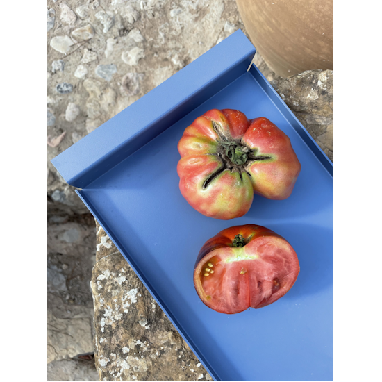Tablett, Aluminium, verschiedene Farben