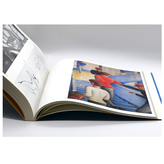Rarität - Katalog, 50 Jahre Bauhaus, 1969